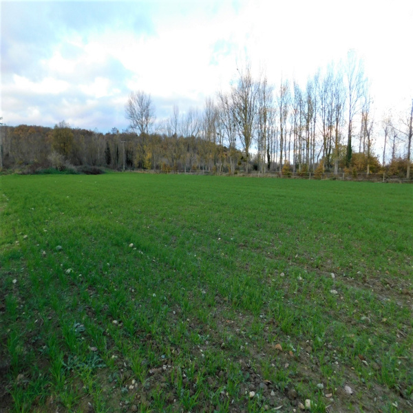 Offres de vente Terrain Martres-Tolosane 31220