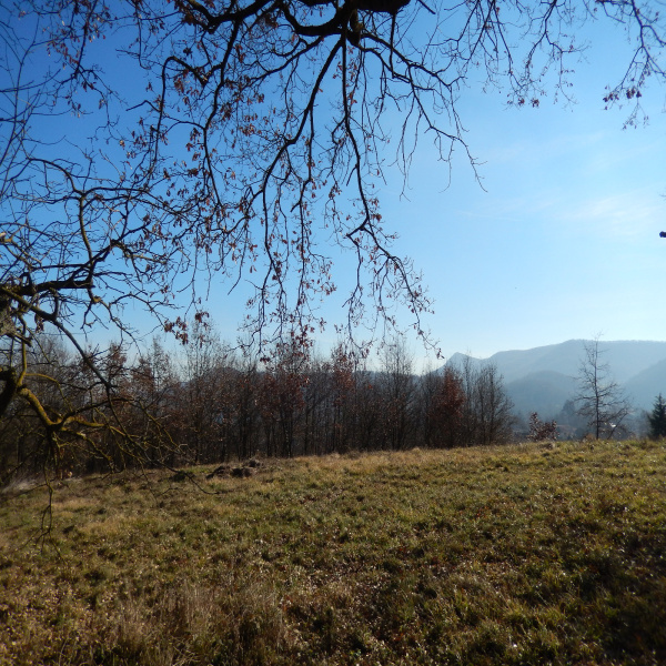Offres de vente Terrain Boussens 31360