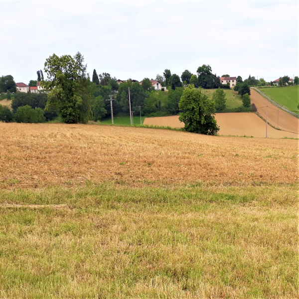 Offres de vente Terrain Figarol 31260