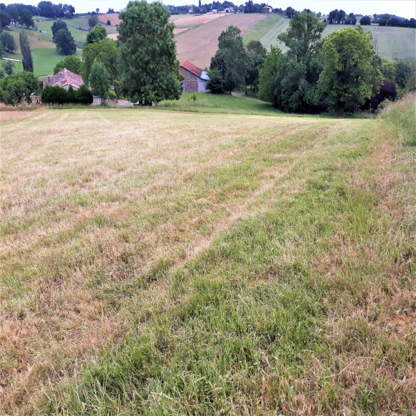 Offres de vente Terrain Figarol 31260