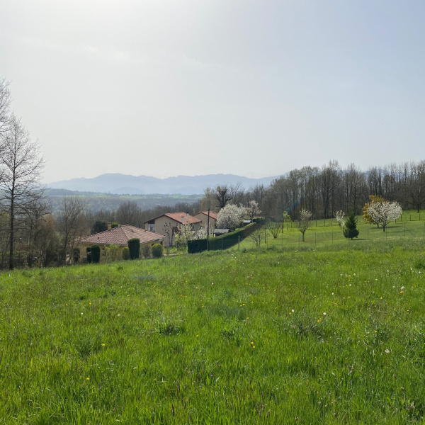 Offres de vente Terrain Beauchalot 31360