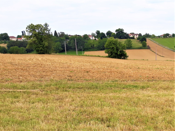 Offres de vente Terrain Figarol 31260
